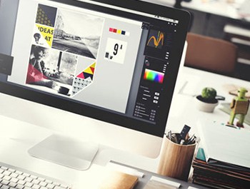 Web Design & Development Services